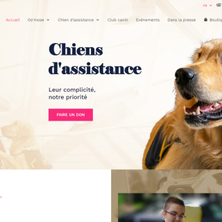 Réalisation de site sur mesure Réalisation de site sur mesure