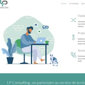 Lp consulting